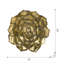 Plaque murale succulente D10x1,4 "