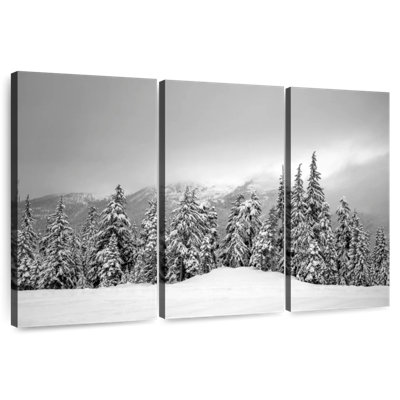 Paysage d'hiver Alvord Whistle