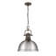 Aljona 1-Light Pendant with Chain-1823838392-1823838393-1823838386