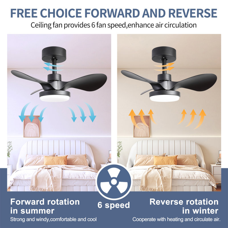 Petit ventilateur de plafond noir de 24 po avec télécommande légère, ventilateur de plafond moderne à profil bas, moteur CC réversible silencieux à 6 vitesses pour la chambre à coucher, cuisine
