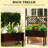 Elegant Stylized Trellis Planter with Self-Draining Design and Carbonized Fir Wood for Outdoor Beauty and Functionality-2119830759