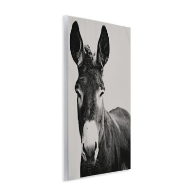 Franz the Donkey Portrait Wall Plaque, design by Amy Carroll