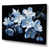 Toile tendue