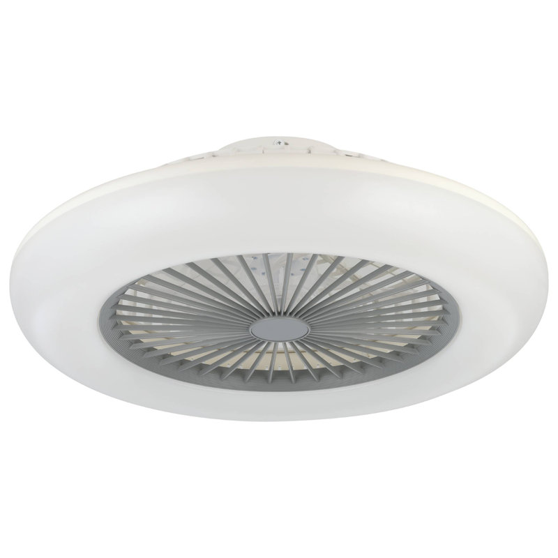 Antiope Ceiling Fan with Light Kit