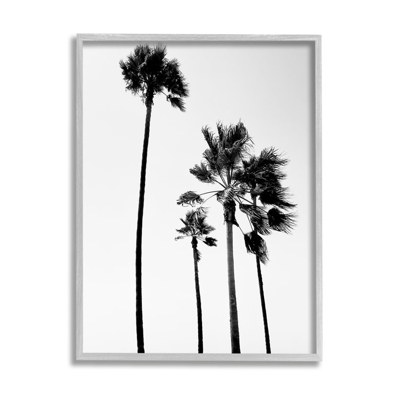 Gray Framed Black and White Palm Trees Canvas Print, 16" x 20"