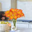 Arrangement in Vase-1009169566