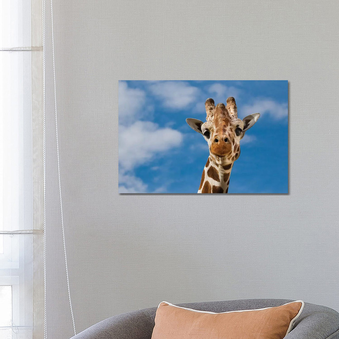 Giraffe by Goran Anastasovski - Wrapped Canvas Photograph