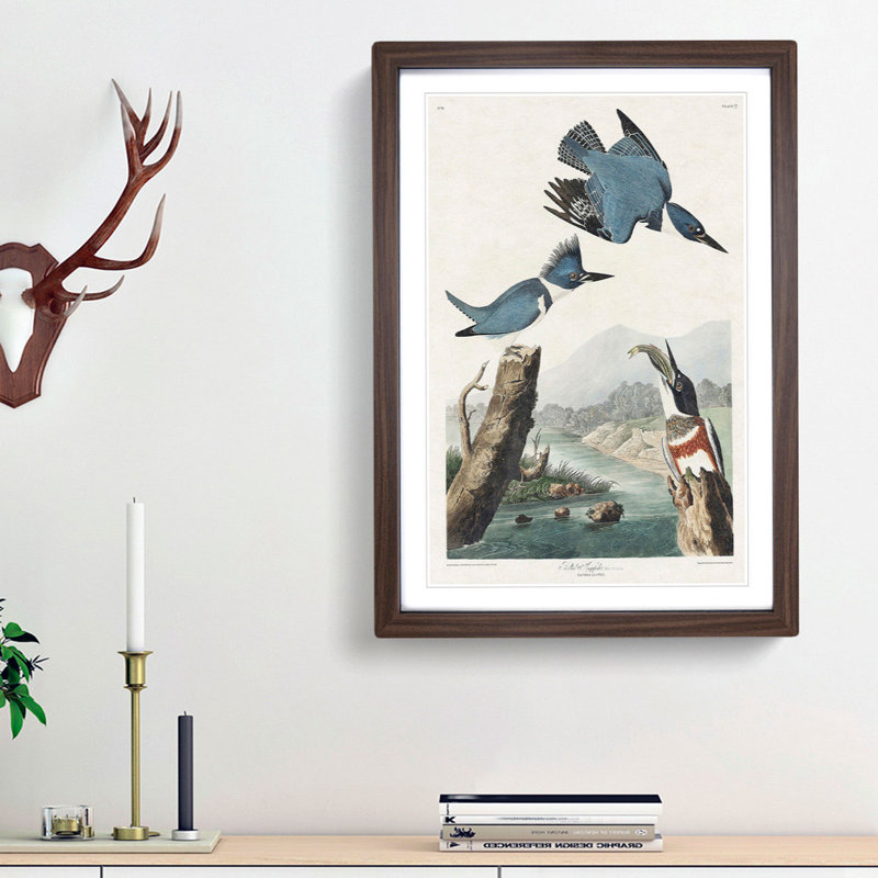 Belted Kingfishers by John Audubon - Framed Print, 33cm H x 24cm W x 2cm D, Walnut Framed