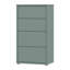 Rydar 54.8cm W 4 - Drawer Chest of Drawers-124889400