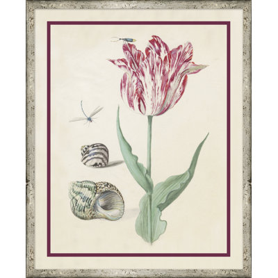 Fleur, coquillage et insecte I - Peinture encadrée sur papier