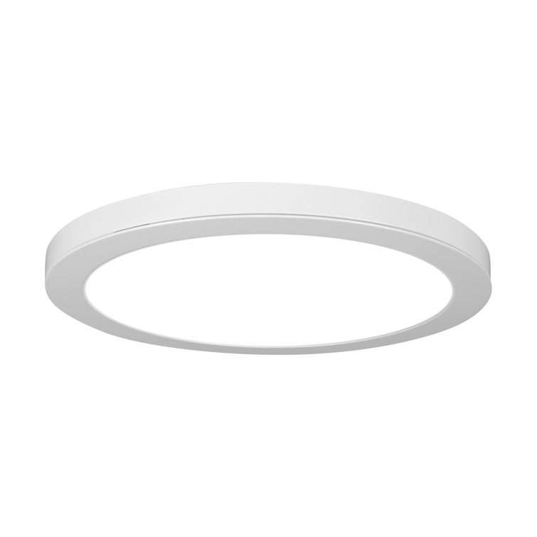 1 - Light White LED Simple Pendant