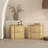 Clive 22" Mid-Century Modern 2-Drawer Nightstand in Natural and Gold-1922606199