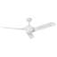 Hinkley Tiburon Ceiling Fan-1661096296-1661096297