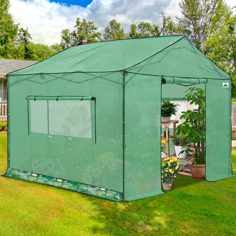 Serre 10 po 10 po, Green