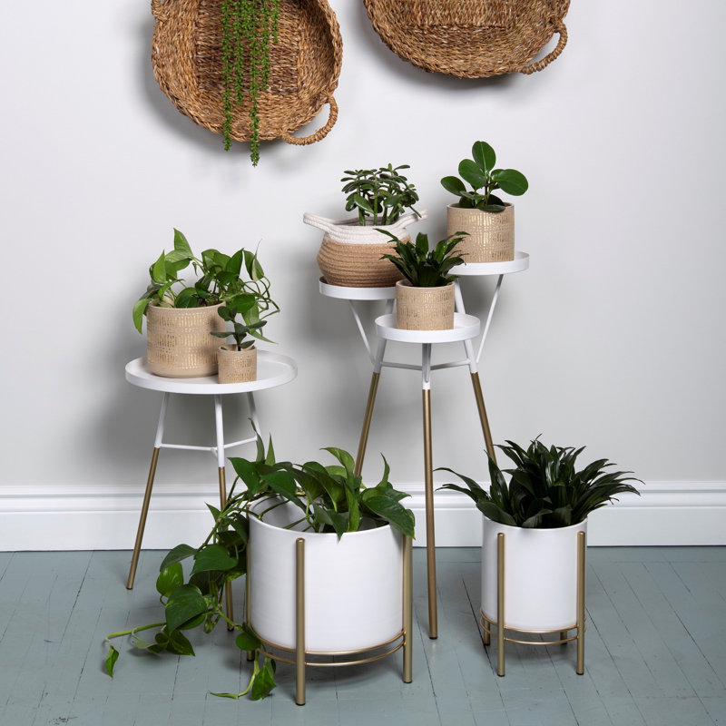 Plant Stand