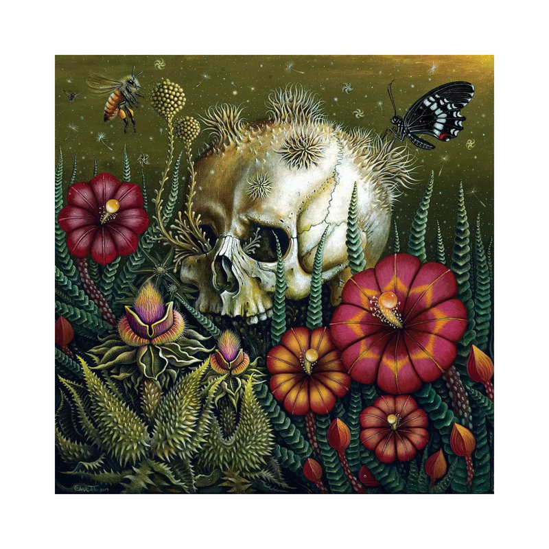 Dust 1 Piece Wrapped Canvas Wall Art