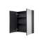 Dawley Double Door Black Steel Bathroom Mirror Cabinet