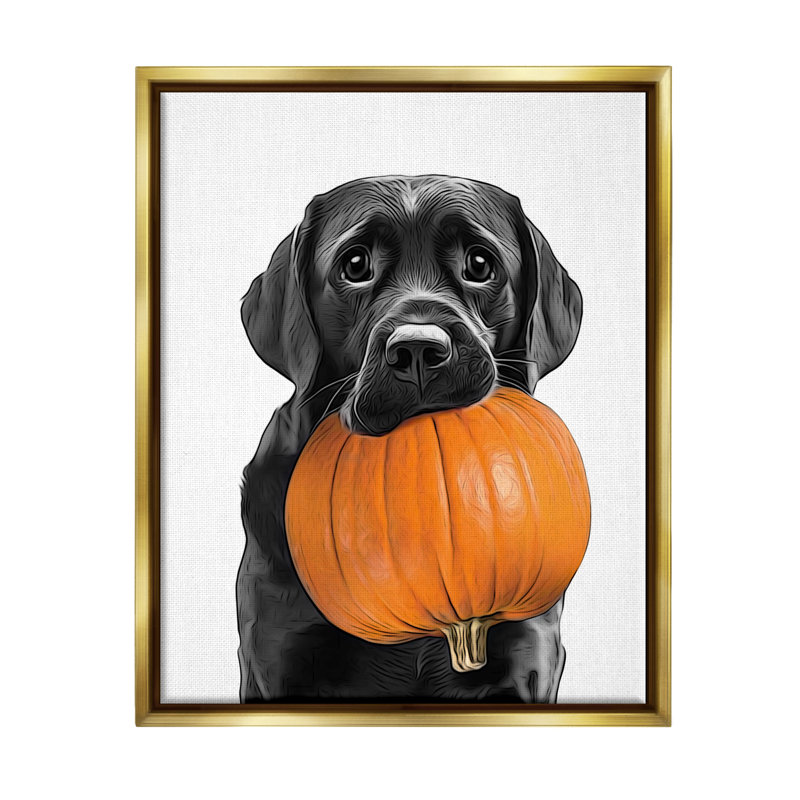 Lab Lab avec citrouille sur toile, Cadre flottant métallique doré, H 31 po x l 25 po x P 1,7 po