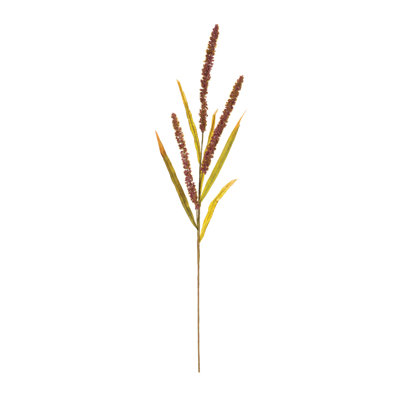 Arrangement