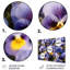 Mauve, jaune, pensées, Harmony II - ensemble d'art mural floral en métal