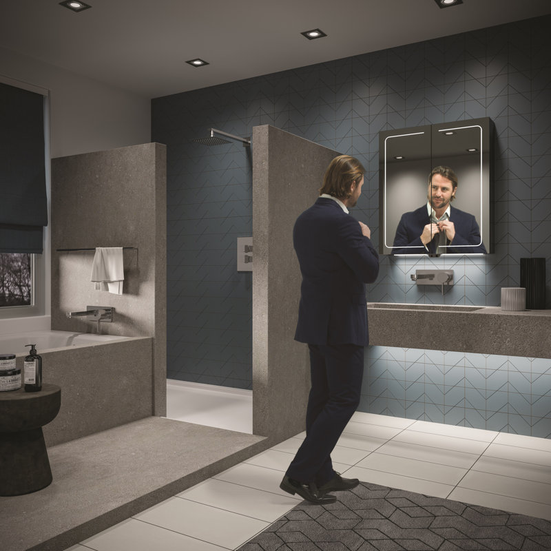 Vapor 600mm W 700mm H Surface Frameless Medicine Cabinet Mirror 6 Adjustable, Vertical, 70cm H x 60cm W x 12.2cm D