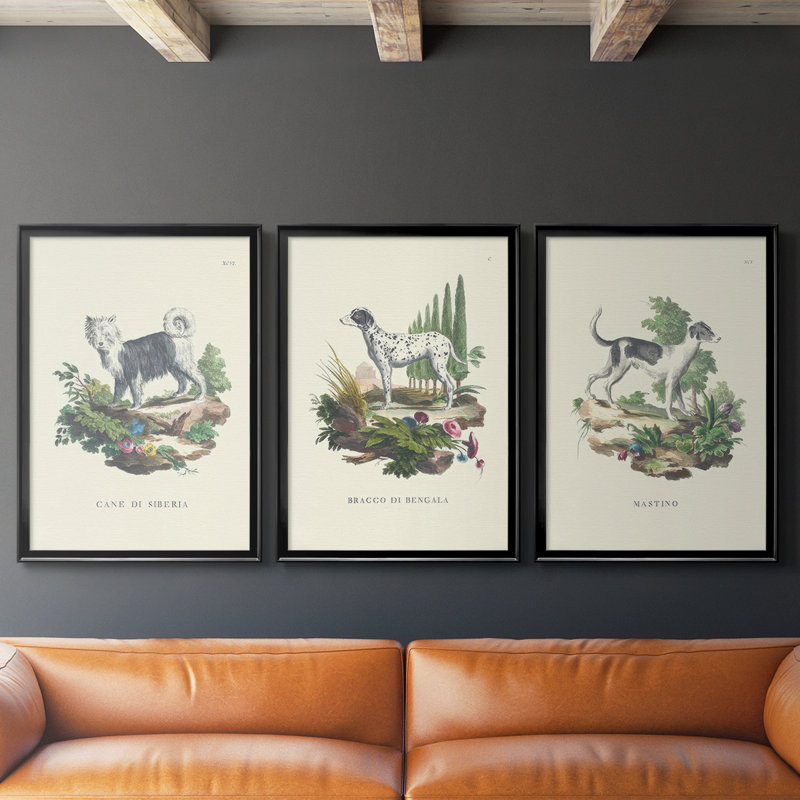 French Dogs IV - Toile tendue avec châssis sur mesure - 3 pièces, Noir, noir, noir, noir, 30" H x 63" W