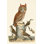 Wilson Owls II