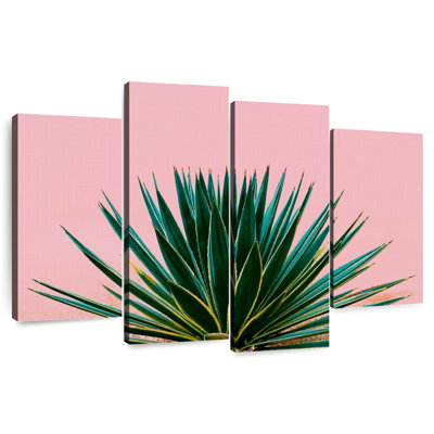 Succulent contemporain