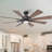 Lisa 60'' Ceiling Fan with LED Lights-658307221