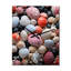 Coquillage rose sur la plage - Très grandes horloges murales-99630297