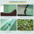 Greenhouse-98284342-98284341