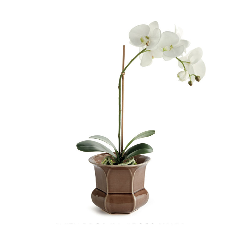 MADISON POT, Brown