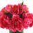 Peony Arrangement in Glass Vase with Grass-244290964