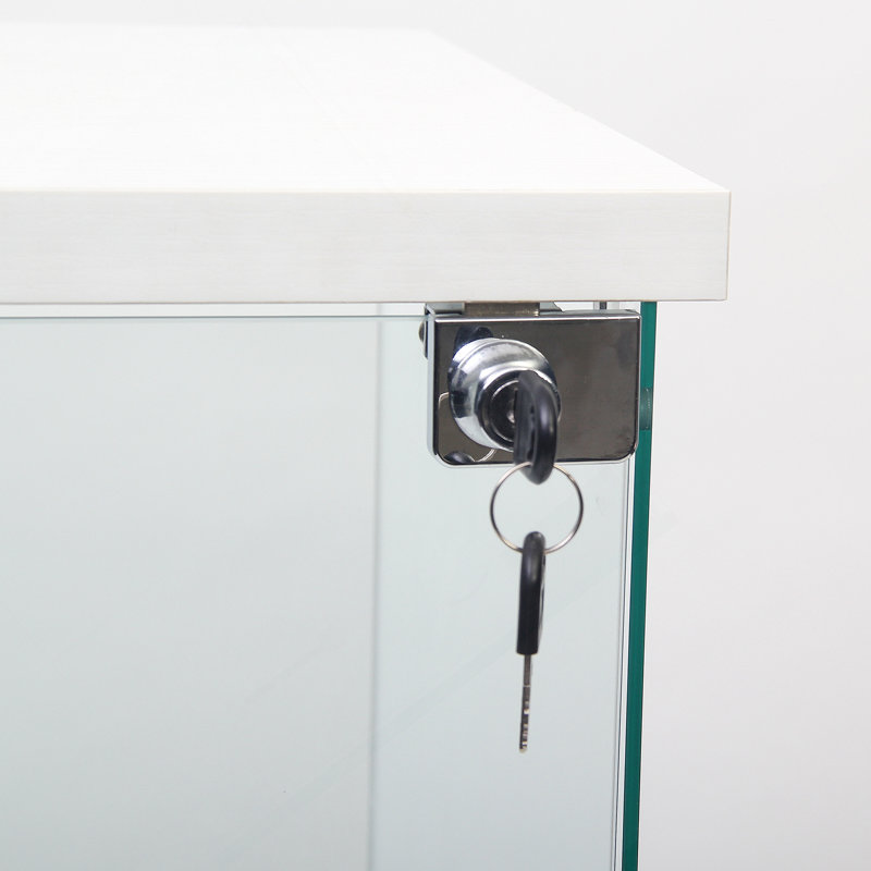Vitrine en verre 4 tablettes avec porte, bibliothèque Curio, Blanc