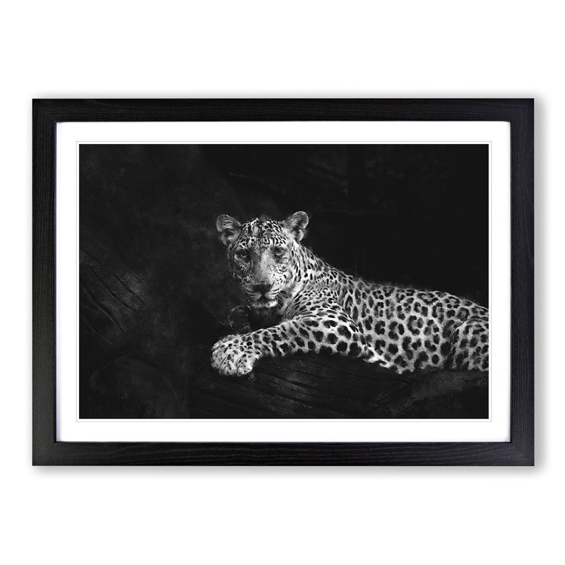 Leopard - Picture Frame Graphic Art Print, Black Framed, 62cm H x 87cm W x 2cm D
