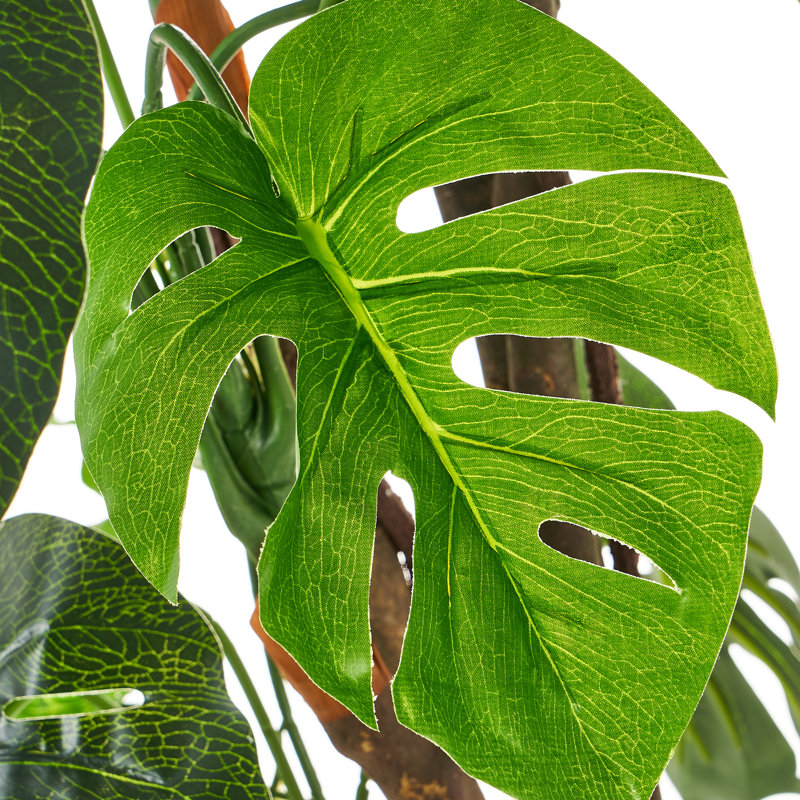 170cm Faux Swiss Cheese Plant Tree in Pot
