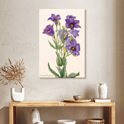 Eustoma Russelianum