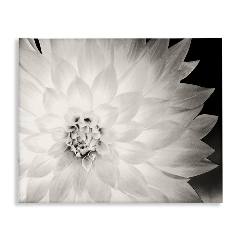 «Strong Dahlia Petals» par Gail Peck, H 16 po x l 20 po