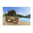 10 - Person Teak Wood Patio Dining Set with Oval Table