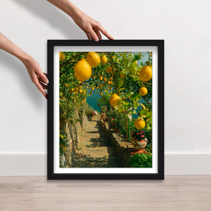 Lemon Grove Shadowbox Food & Beverages Print by Oliver Gal, Black Frame, 16 x 20, 21.5"H x 25.5"W, Black Shadowbox