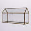 Terrarium en verre Jago
