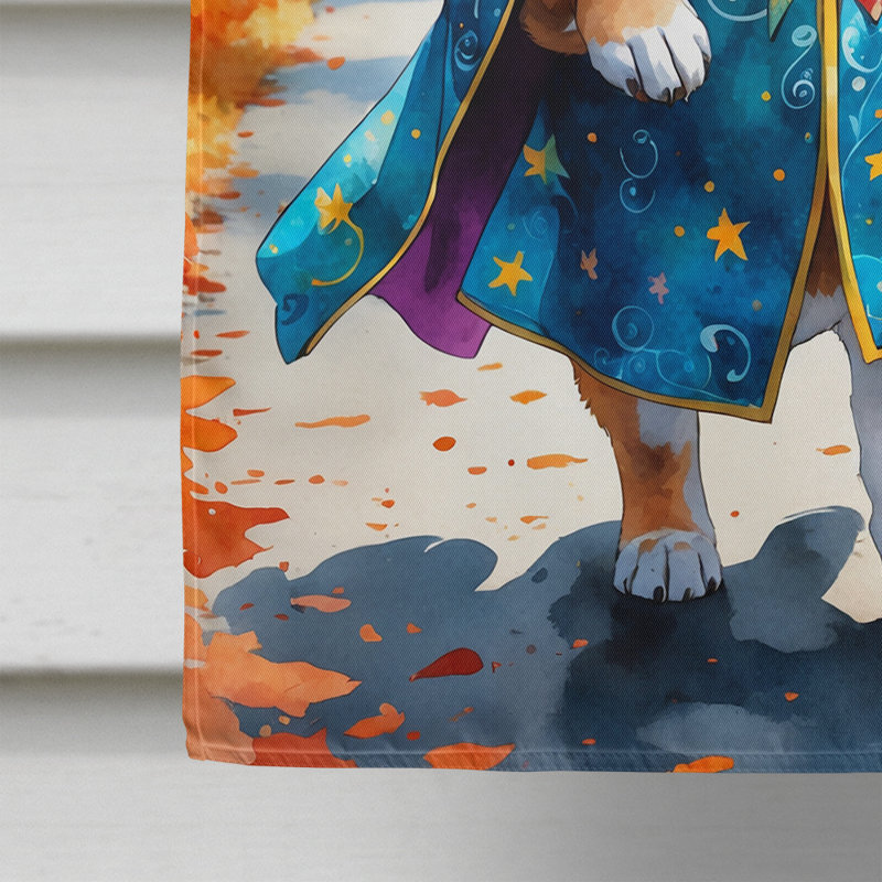 Drapeau de maison Weimaraner, Shiba Inu