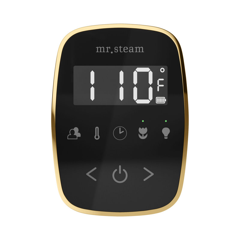 Ensemble de commande de douche à vapeur ButlerFlex Max avec contrôle TempoFlex et tête de vapeur linéaire 