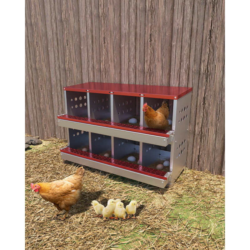 4.14m² Chicken Coop