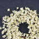 24" Handmade Spring Forsythia Wreath