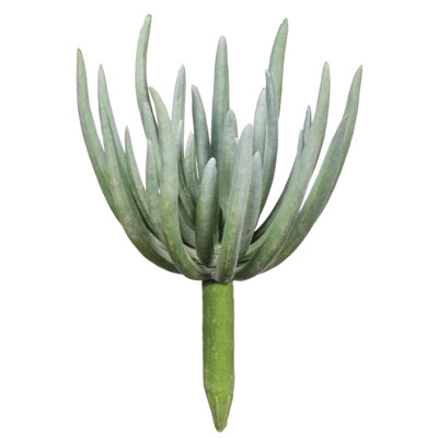 Arrangement