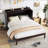 Queen Size Murphy Bed