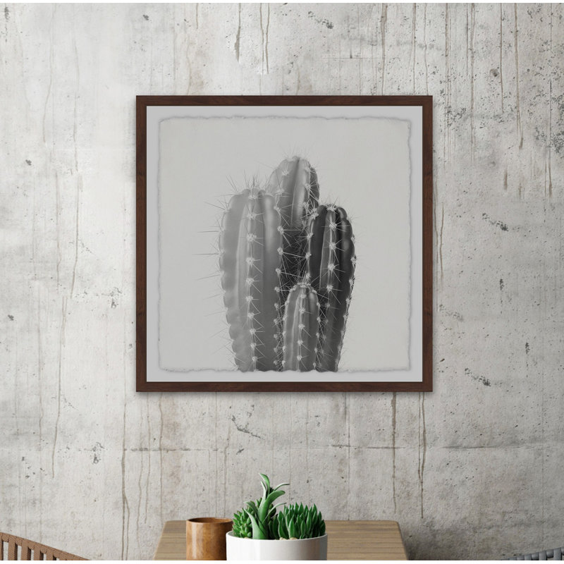«Four Cacti», reproduction d'art graphique sur papier, H 32 po x l 32 po x P 1,5 po, Cadre brun à bords frangés