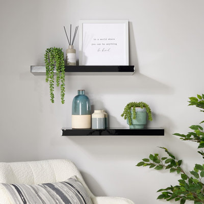 Tayshia 2 Piece Black Gloss Floating Shelves