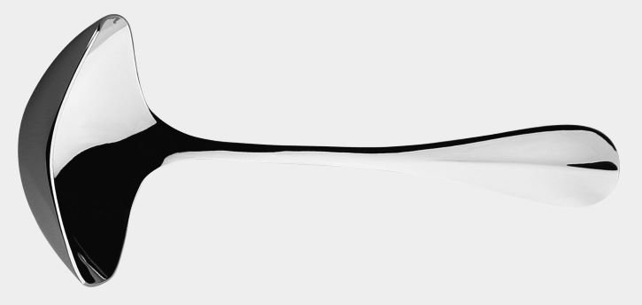 Blois Stainless Steel Ladle